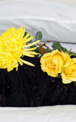 New Borns photography